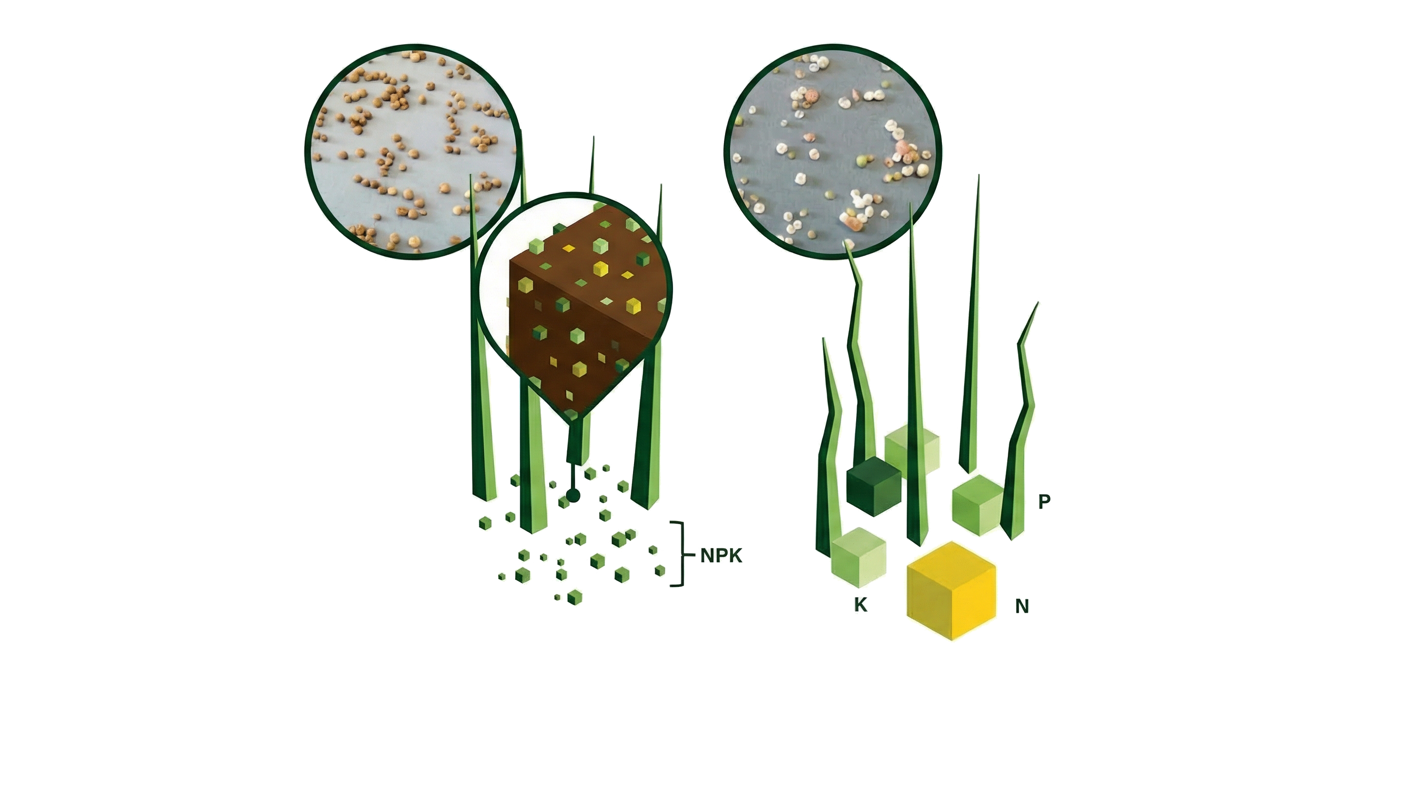 Fertilizer system comparison